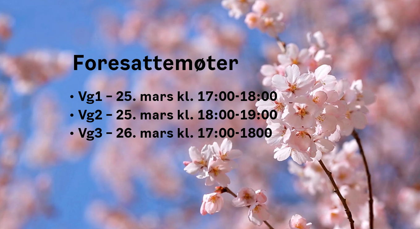 et nærbilde av blomster