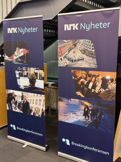 grafisk brukergrensesnitt, nettside