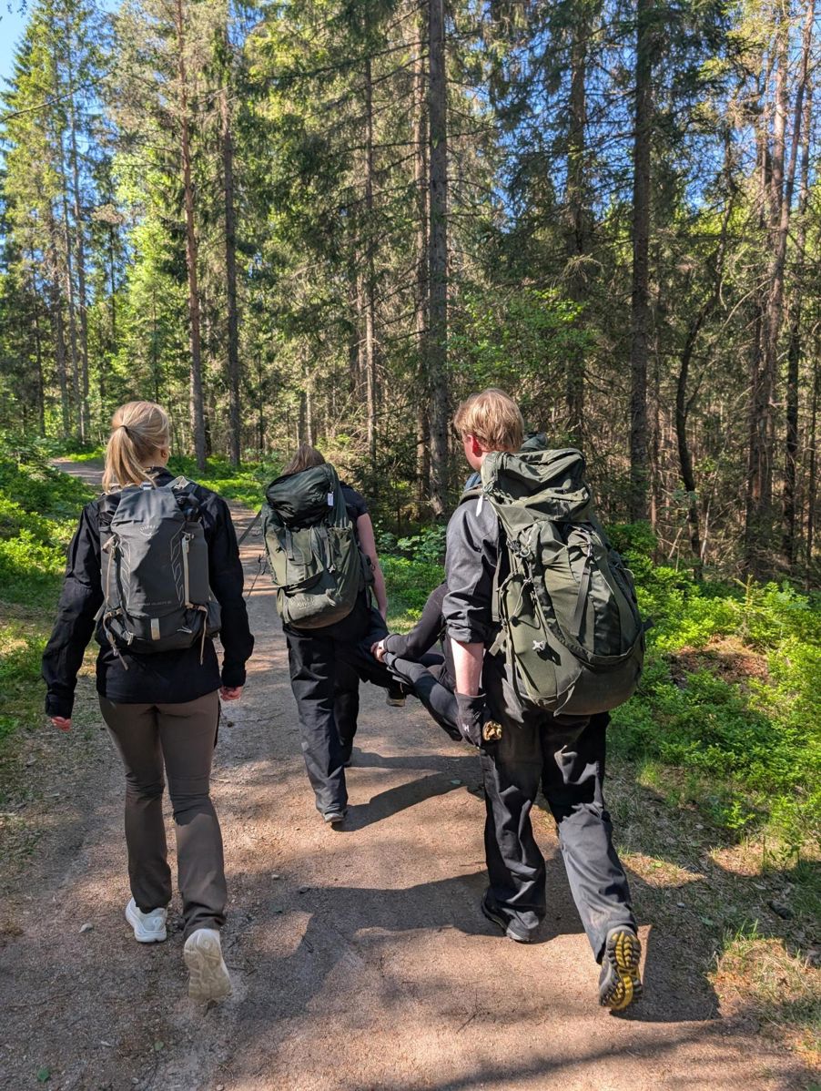 En gruppe mennesker som går på en sti i skogen